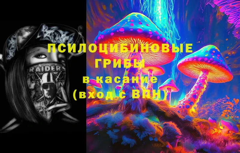 Псилоцибиновые грибы Cubensis  Фролово 